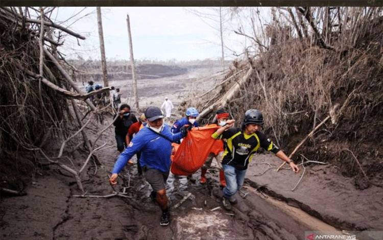 SAR: Korban Meninggal Dunia Bencana Semeru Menjadi 43 Orang