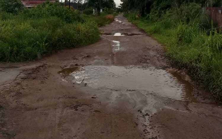 Tak Dianggarkan Lagi Tahun Depan, Warga Jalan Walter Condrat Ancam Tanam Pohon Pisang di Sepanjang Jalan
