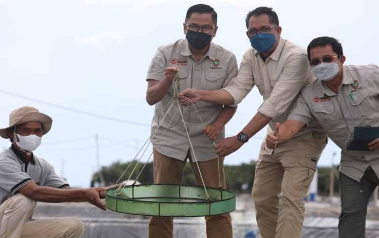 Investor Besar Diharapkan Ikut Andil di Program Shrimp Estate Kalteng