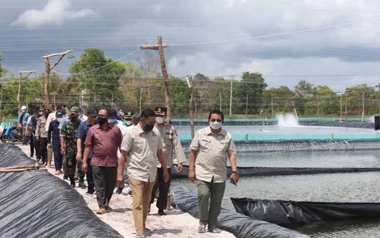 Shrimp Estate Berpotensi Angkat PAD Kalteng