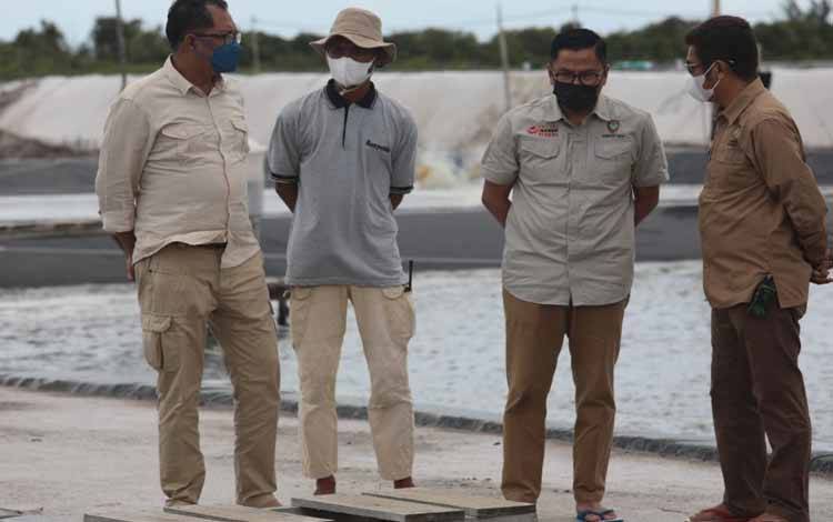Regulasi Tata Kelola Budidaya Dinilai Penting untuk Antisipasi Wabah dan Gagal Panen Shrimp Estate