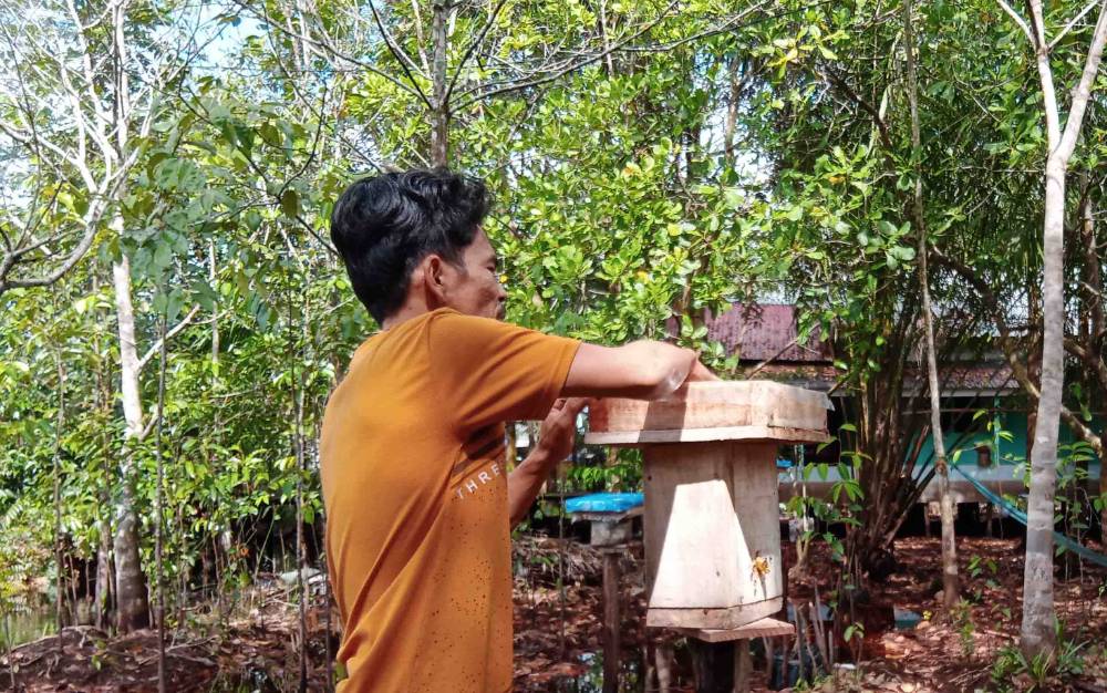 KUPS Taruna Mandiri Siap Panen Madu Kelulut