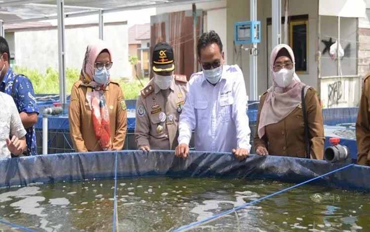 Budidaya Ikan Metode Bioflok Punya Banyak Keunggulan