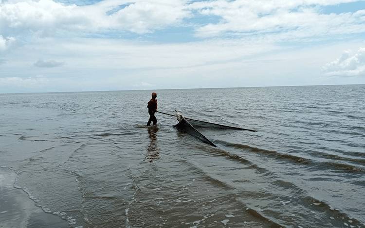 Nelayan Sungai Bakau Memilih Mencari Udang Kecil di Pesisir Pantai