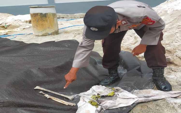 Lagi, Warga Desa Cempaka Mulia Bara Temukan Tulang Belulang di Tumpukan Pasir