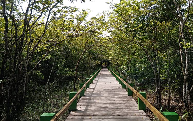 Renovasi Jembatan Tempat Wisata Danau Bamba Rampung