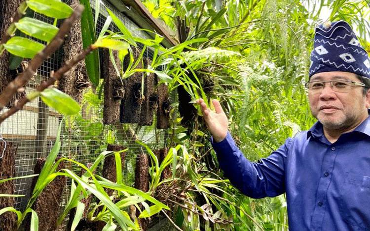 Menyelamatkan Kepunahan Anggrek Meratus Akibat Alih Fungsi Lahan