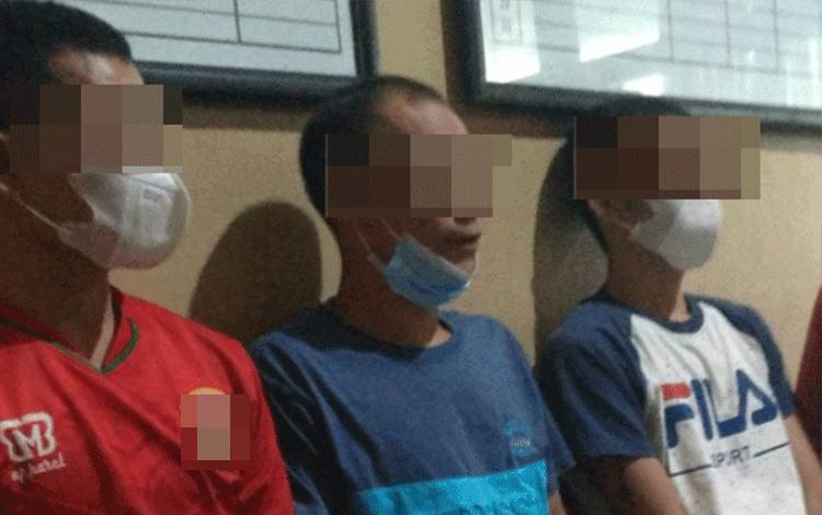 Bermodalkan Senter dan Egrek, 3 Pria ini Curi Sawit