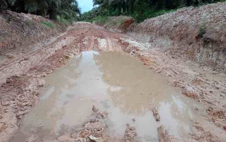 Perusahaan Janji Perbaiki Jalan Rusak, Tapi Tak Kunjung Terealisasi