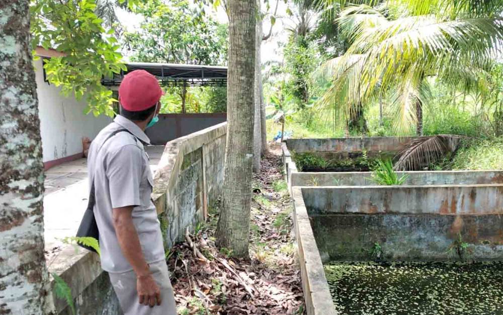 Duh Ngeri, di Kompleks Perumahan Ini Beruang Sudah 2 Kali Mondar-mandi