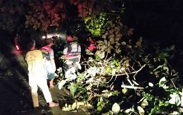 Tengah Malam Relawan Samuja Bersihkan Pohon Besar Tumbang di Desa Rodok