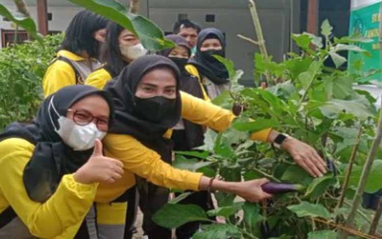 IAD Kejari Pulang Pisau Bernovasi dengan Bercocok Tanam dan Budidaya