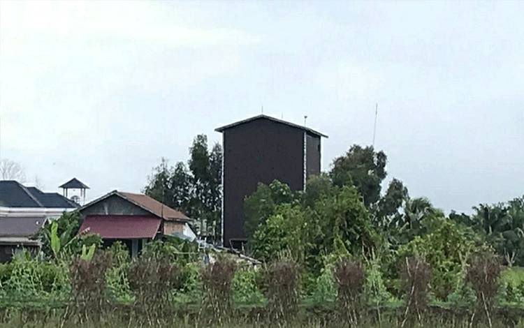 Segini Capaian PAD Sektor Pajak Sarang Walet Tahun 2021