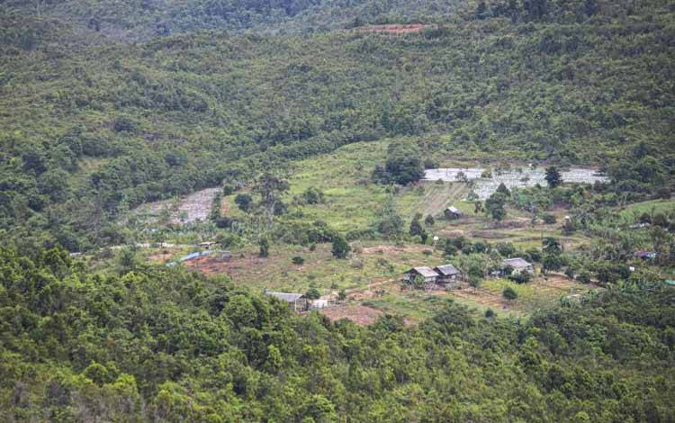 HGU Perkebunan Punya Kewenangan Konstitusional