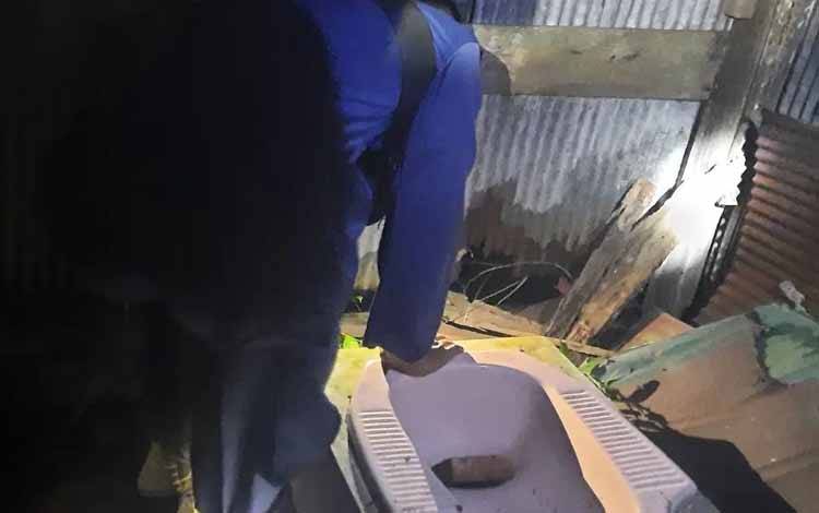 Tangkap Ular Pemangsa Ternak, Petugas Terpaksa Bongkar Toilet Warga