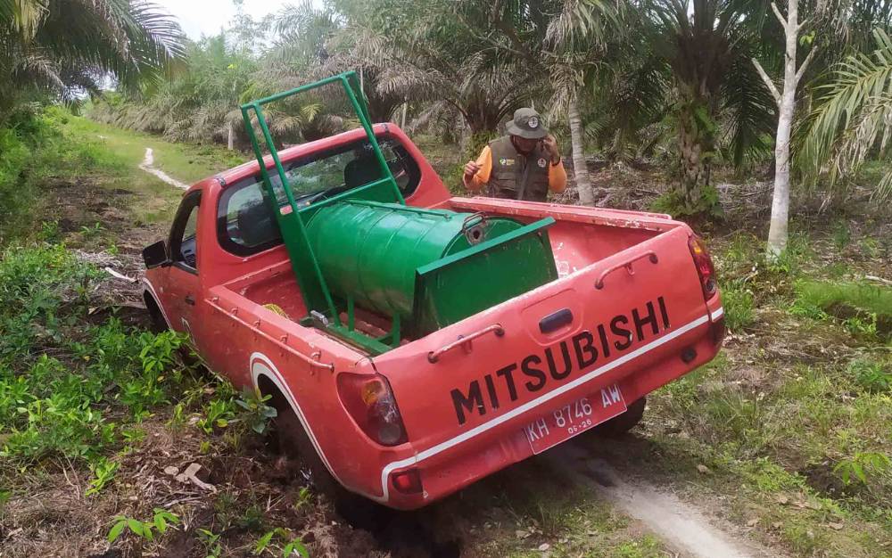 BKSDA Kesulitan Pasang Perangkap Beruang di Lokasi Ini