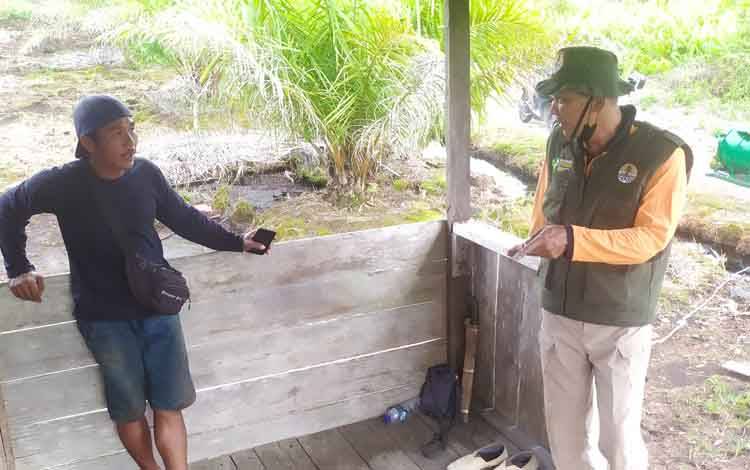 BKSDA Deteksi Perubahan Perilaku Beruang yang Berkeliaran di Sekitar Kota Sampit