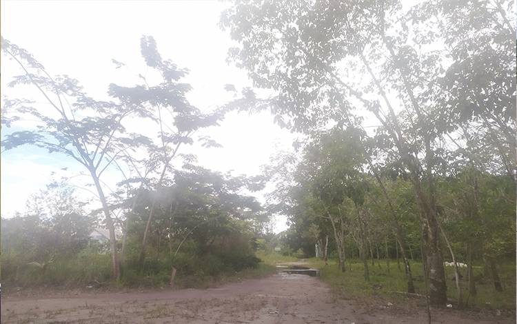 Cuaca Ekstrem Meningkat, Warga Diimpau Tingkatkan Kewaspadaan