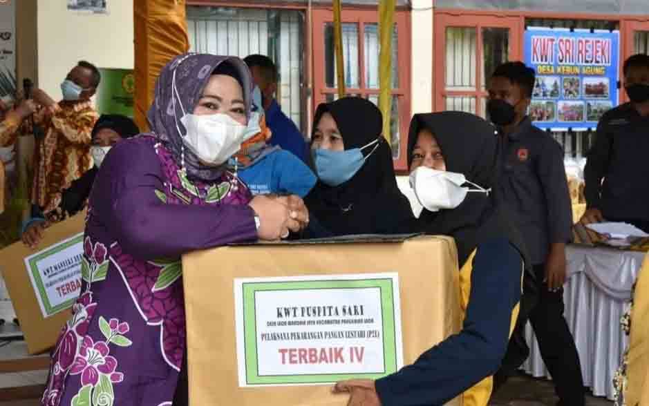 Sukses Jalankan P2L, Kelompok Wanita Tani di Kobar Dapat Penghargaan dari Pemkab