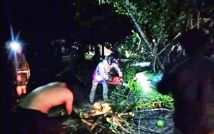 Tim Reaksi Cepat BPBD Damkar Barito Timur Singkirkan Pohon Tumbang di Desa Jaar