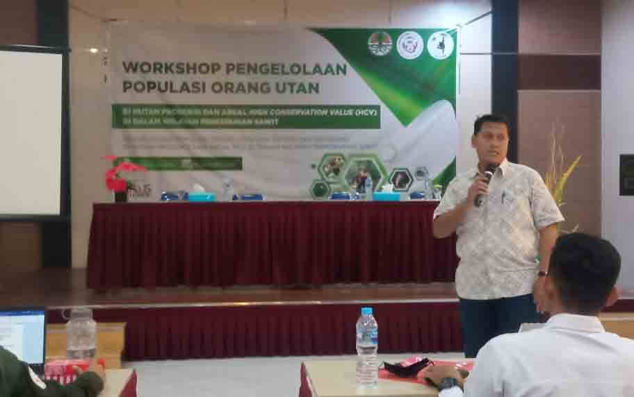 Ini Kontribusi PT. SSMS, Tbk Terhadap Konservasi Orangutan