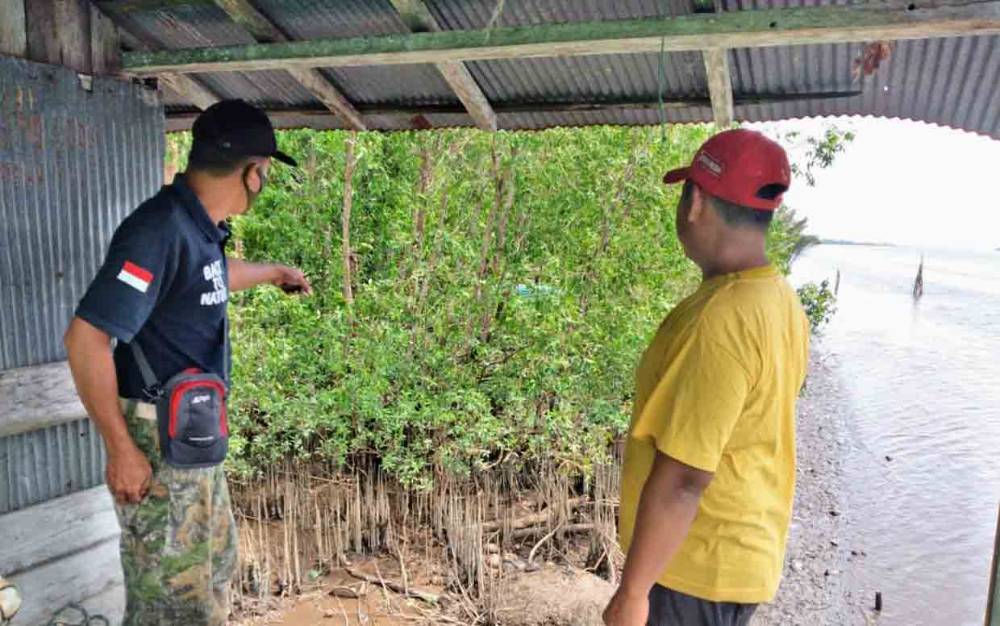 Pencarian 4 Jam, Petugas Tak Temukan Bangkai Buaya
