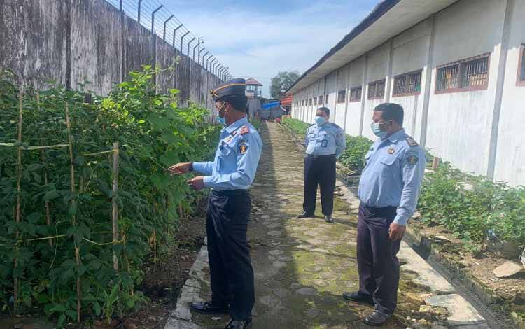 Warga Binaan Lapas Sampit Sulap Brandgang Jadi Areal Pertanian