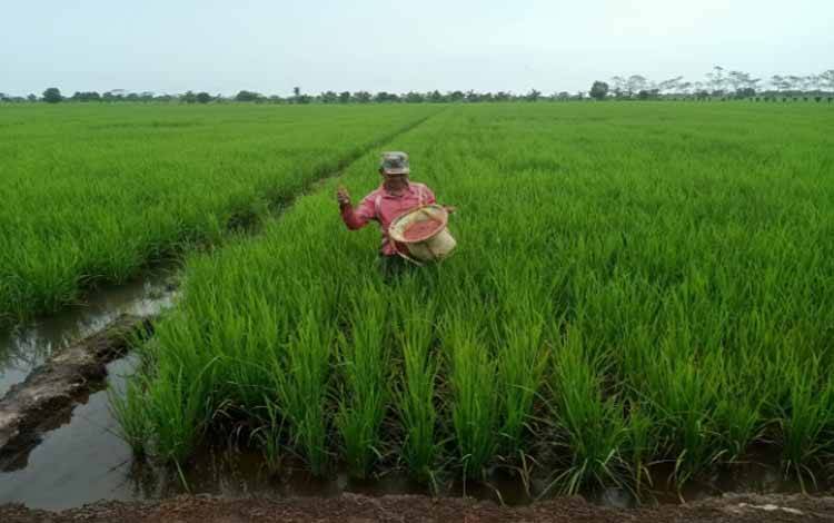 Purnawirawan TNI Ini Pilih Menjadi Petani