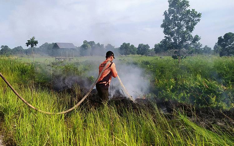 Bertambah Satu Lokasi, Ini Jumlah Luas Lahan Terbakar di Sampit