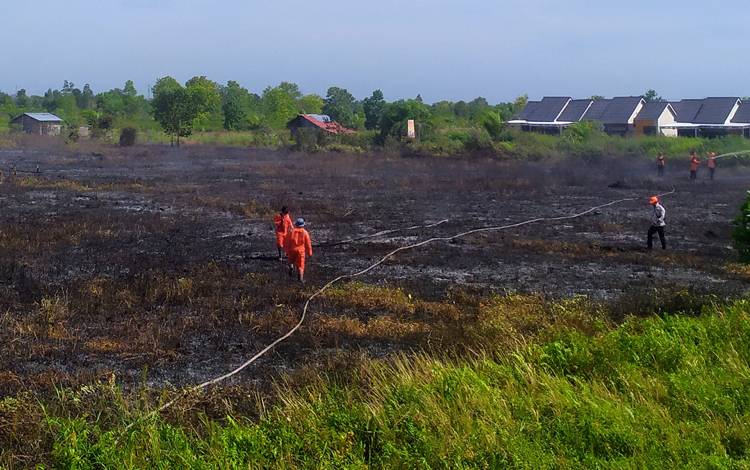 Titik Panas Bermunculan, BPBD Kotim: Terus Kami Pantau