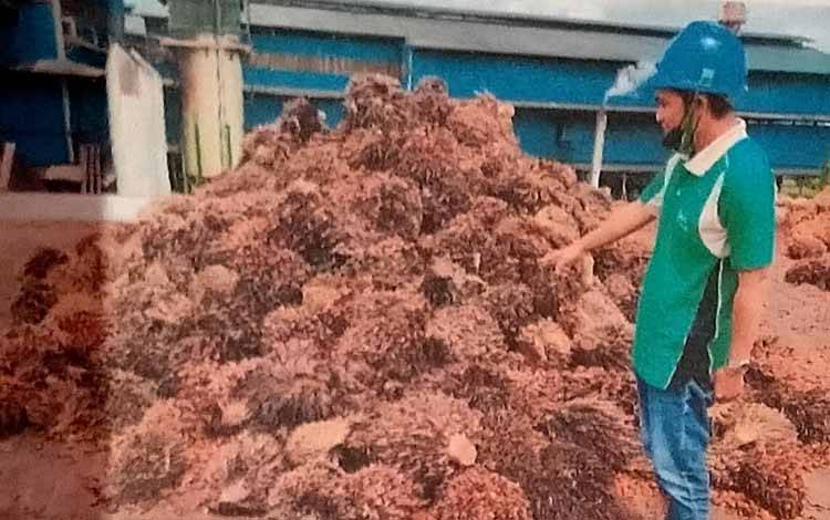 Ditangkap Saat Membawa Buah Sawit Hasil Curian
