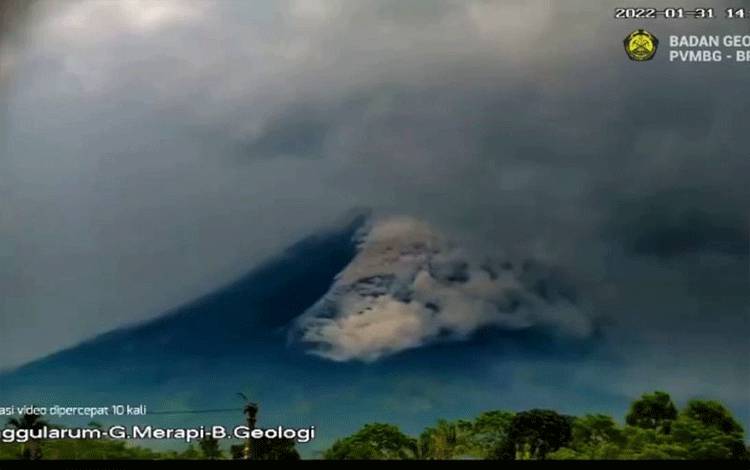 Gunung Merapi Luncurkan Awan Panas Guguran Sejauh 2,5 Km
