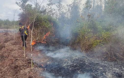 Tim BPBD Padamkan Karhutla di Jalan Srikaya Kasongan Lama