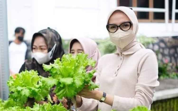 Ketua TP-PKK Kalteng Ajak Masyarakat Kreatif Kelola Lahan Kosong