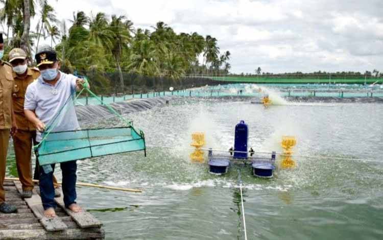Pembangunan Shrimp Estate Diperkirakan Butuh Dana Rp 85 Miliar