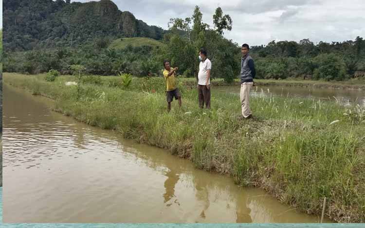 Diskan Kobar Dorong Pembudidaya Ikan di Aruta