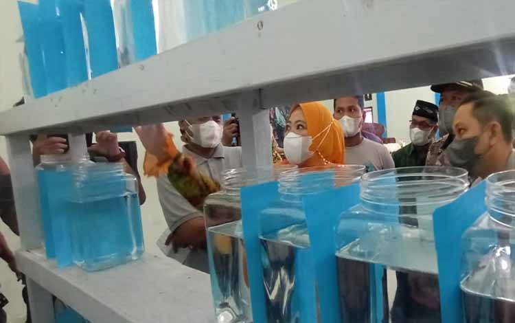 Bupati Kobar Apresiasi Kegiatan Kontes Ikan Cupang