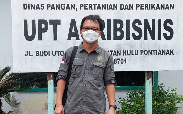 Virus ASF Sebabkan 1.528 Babi di Barito Timur Mati