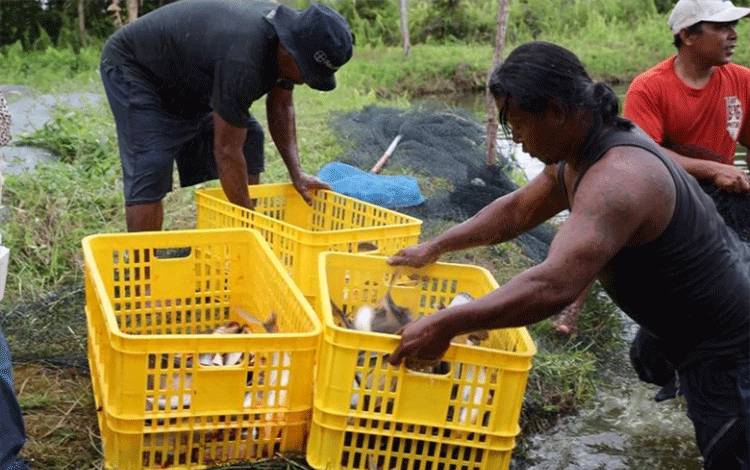 Halikinnor Apresiasi Kelompok Budi Daya Ikan yang Bisa Buat Pakan Mandiri