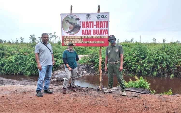 Diperkirakan Ada  3 Ekor Buaya Berkeliaran di Parit HGU Perusahaan Sawit Bagendang