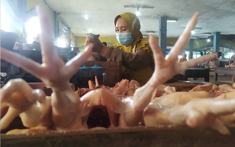 Harga Daging Ayam di Sampit Mulai Naik