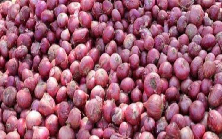 Ini Jenis Daftar Komoditas di Kobar yang Mengalami Perubahan Harga?