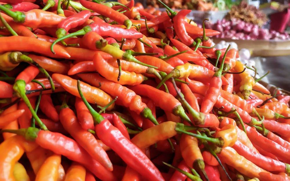 Harga Cabai Rawit Merah Rp60.000 per Kg di Kobar