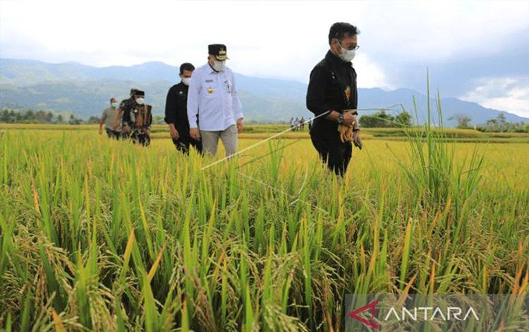 Mentan Pastikan Stok Pangan Nasional Aman Jelang Ramadhan