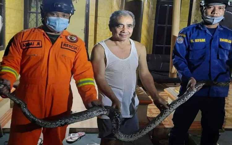 Ular Lilit Kucing Peliharaan hingga Mati, Pria ini Ikat Ular di Tiang Listrik