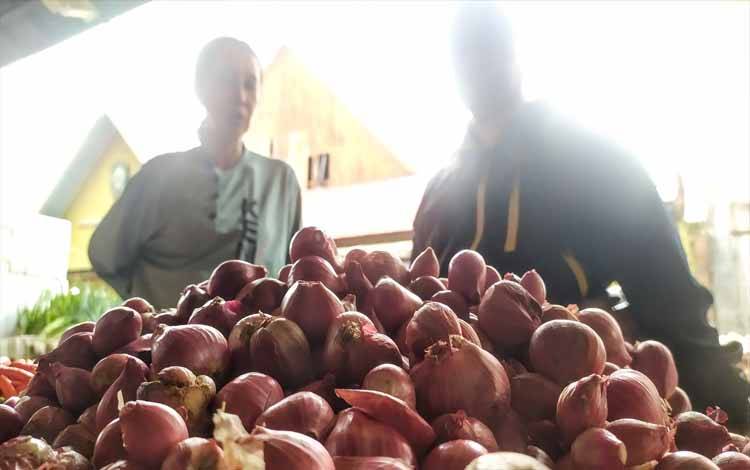 Harga Bawang di Sampit Naik, Pedagang: Masih Wajar