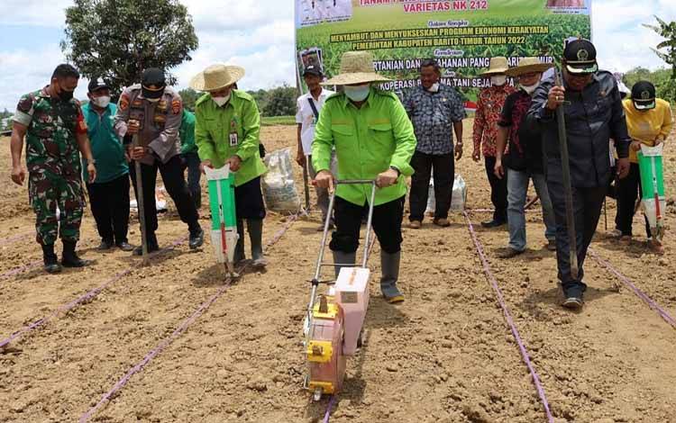 Bupati Barito Timur Hadiri Tanam Jagung Komposit di Desa Netampin