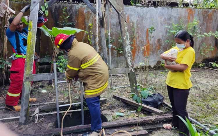 Nyemplung di Sumur, Kelinci Ini Diselamatkan Damkar Kobar