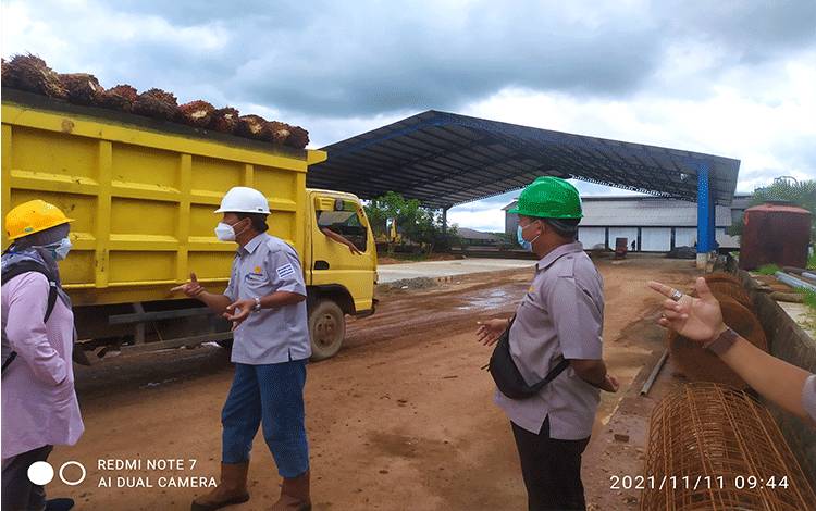 Produksi Turun Dorong Harga CPO Naik