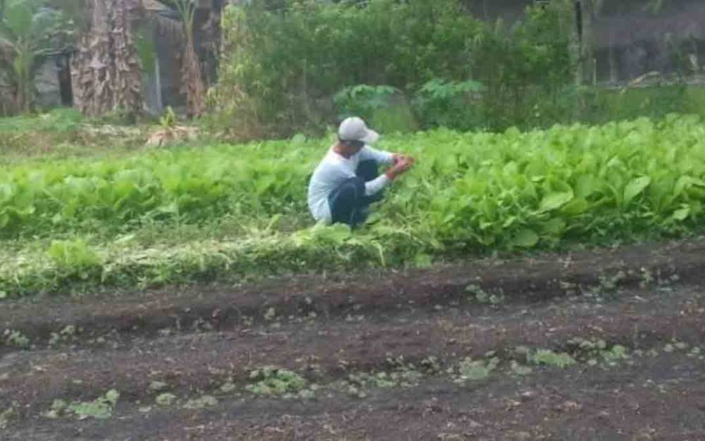 Pemprov Kalteng Siapkan Langkah Antisipatif Hadapi Potensi Kenaikan Harga Komoditas Pangan